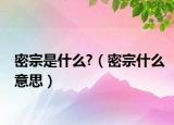 密宗是什么?（密宗什么意思）