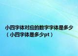 小四字體對應(yīng)的數(shù)字字體是多少（小四字體是多少pt）