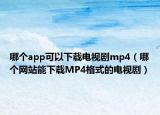 哪個app可以下載電視劇mp4（哪個網(wǎng)站能下載MP4格式的電視?。? /></span></a>
                        <h2><a href=
