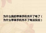 為什么我的蘋果手機(jī)充不了電了（為什么蘋果手機(jī)充不了電沒反應(yīng)）