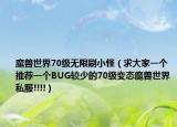 魔獸世界70級(jí)無限刷小怪（求大家一個(gè)推薦一個(gè)BUG較少的70級(jí)變態(tài)魔獸世界私服!!!!）
