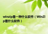 winzip是一種什么軟件（WinZip是什么軟件）