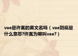 vae是許嵩的英文名嗎（vae到底是什么意思?許嵩為嘛叫vae?）