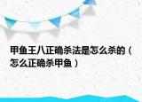 甲魚王八正確殺法是怎么殺的（怎么正確殺甲魚）