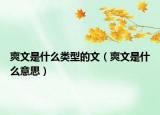 爽文是什么類(lèi)型的文（爽文是什么意思）