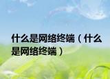 什么是網(wǎng)絡(luò)終端（什么是網(wǎng)絡(luò)終端）