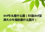 dnf牛頭是什么圖（85版dnf深淵大小牛指的是什么圖片）