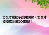 怎么才能把qq寵物關(guān)掉（怎么才能徹底關(guān)閉QQ寵物?）