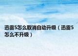 迅雷5怎么取消自動(dòng)升級(jí)（迅雷5怎么不升級(jí)）