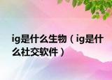 ig是什么生物（ig是什么社交軟件）