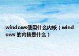 windows使用什么內(nèi)核（windows 的內(nèi)核是什么）