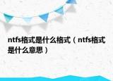 ntfs格式是什么格式（ntfs格式是什么意思）