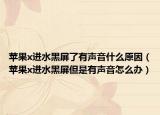 蘋果x進(jìn)水黑屏了有聲音什么原因（蘋果x進(jìn)水黑屏但是有聲音怎么辦）