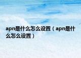 apn是什么怎么設(shè)置（apn是什么怎么設(shè)置）