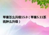 蘋果怎么升級(jí)15.0（蘋果5.11系統(tǒng)腫么升級(jí)）