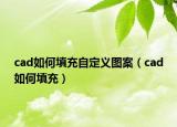 cad如何填充自定義圖案（cad如何填充）