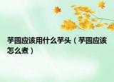 芋圓應(yīng)該用什么芋頭（芋圓應(yīng)該怎么煮）