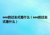 see的過去式是什么（see的過去式是什么）