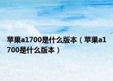 蘋果a1700是什么版本（蘋果a1700是什么版本）
