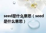 seed是什么意思（seed是什么意思）