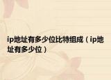 ip地址有多少位比特組成（ip地址有多少位）