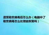 遭受勒索病毒后怎么辦（電腦中了勒索病毒怎么處理能恢復(fù)嗎）