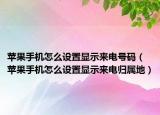 蘋果手機怎么設置顯示來電號碼（蘋果手機怎么設置顯示來電歸屬地）