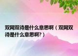 雙網(wǎng)雙待是什么意思啊（雙網(wǎng)雙待是什么意思啊?）