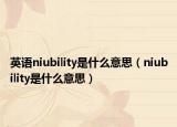 英語niubility是什么意思（niubility是什么意思）