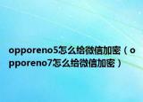 opporeno5怎么給微信加密（opporeno7怎么給微信加密）