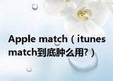 Apple match（itunes match到底腫么用?）