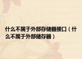 什么不屬于外部存儲(chǔ)器接口（什么不屬于外部?jī)?chǔ)存器）