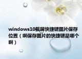 windows10截屏快捷鍵圖片保存位置（啊保存圖片的快捷鍵是哪個(gè)?。? /></span></a>
                        <h2><a href=