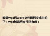 卸載wps后word文件圖標(biāo)變成白的了（wps卸載后文件還有嗎）