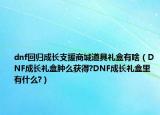dnf回歸成長(zhǎng)支援商城道具禮盒有啥（DNF成長(zhǎng)禮盒腫么獲得?DNF成長(zhǎng)禮盒里有什么?）