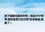 地下城御龍至尊稱號（現(xiàn)在DNF稱號:御龍至尊力賣價錢?求準確滴,謝謝了）