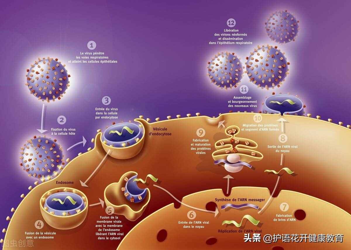 亂用抗生素會帶來什么樣的危害？