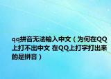 qq拼音無法輸入中文（為何在QQ上打不出中文 在QQ上打字打出來的是拼音）