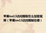 蘋果ios13訪問限制怎么加密視頻（蘋果ios13訪問限制在哪）