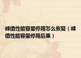 峰值性能容量停用怎么恢復（峰值性能容量停用后果）