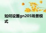 如何設置gn205場景模式