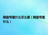 網(wǎng)盤號是什么怎么查（網(wǎng)盤號是什么）
