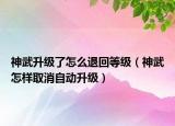 神武升級了怎么退回等級（神武怎樣取消自動升級）
