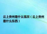 云上貴州是什么情況（云上貴州是什么東西）