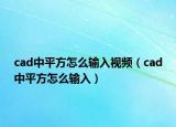 cad中平方怎么輸入視頻（cad中平方怎么輸入）
