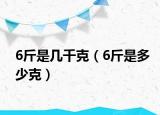 6斤是幾千克（6斤是多少克）