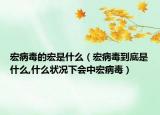 宏病毒的宏是什么（宏病毒到底是什么,什么狀況下會中宏病毒）