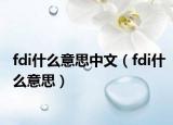 fdi什么意思中文（fdi什么意思）