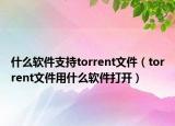 什么軟件支持torrent文件（torrent文件用什么軟件打開）