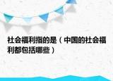 社會(huì)福利指的是（中國(guó)的社會(huì)福利都包括哪些）